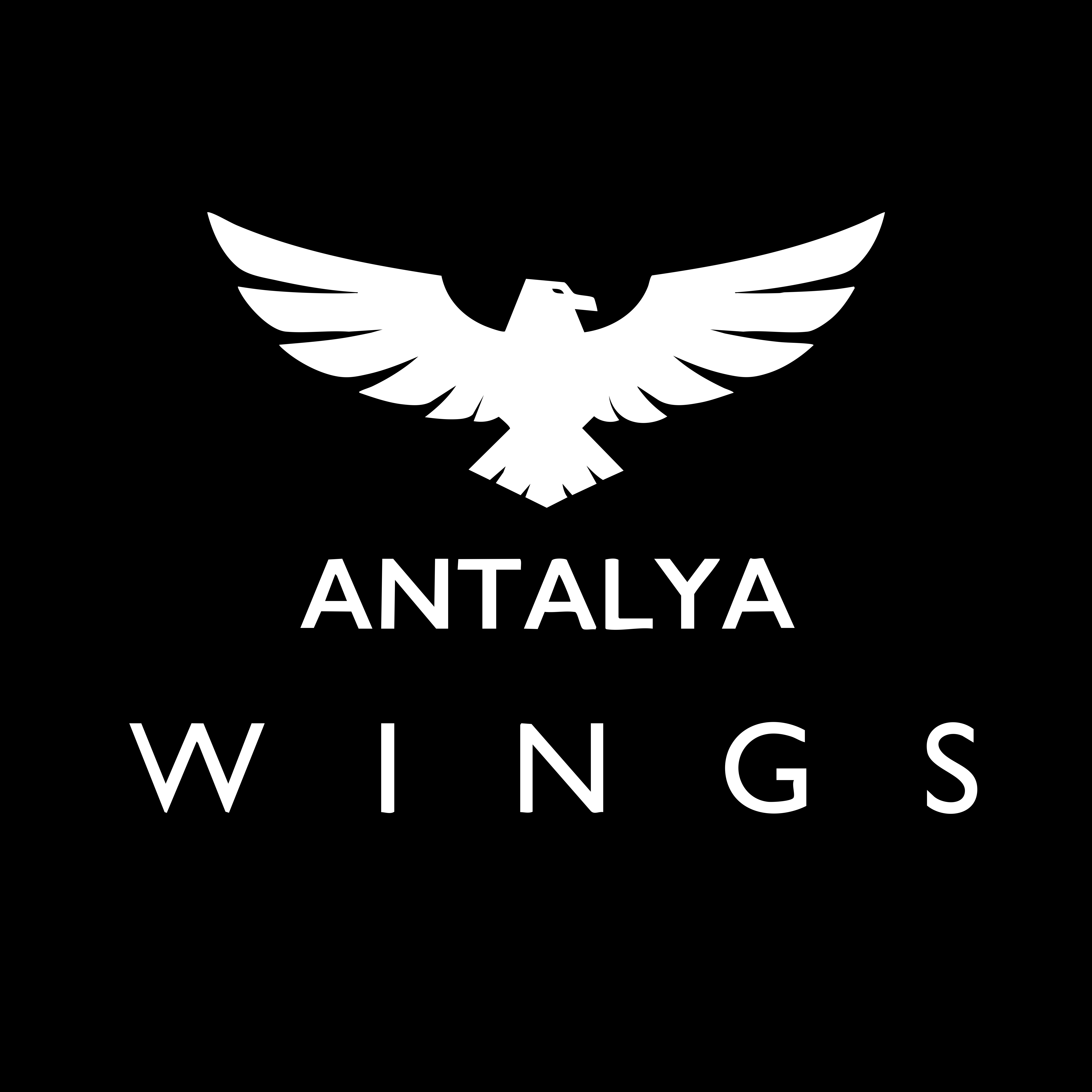 Antalya Wings Logo